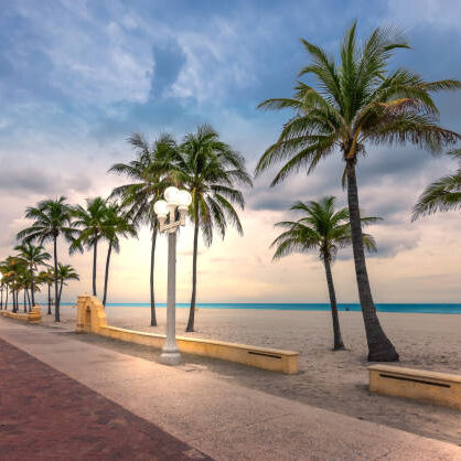 Hollywood beach, Florida. Coconut palm trees on the beach and illuminated street lights on the broadwalk at dusk. Cloud sky. Sunset or sundown in the background.